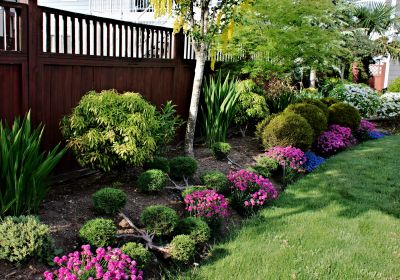 Residential Landscape Service detail