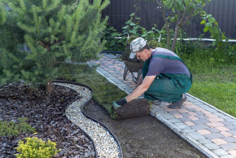 Timing Your Landscaping Projects