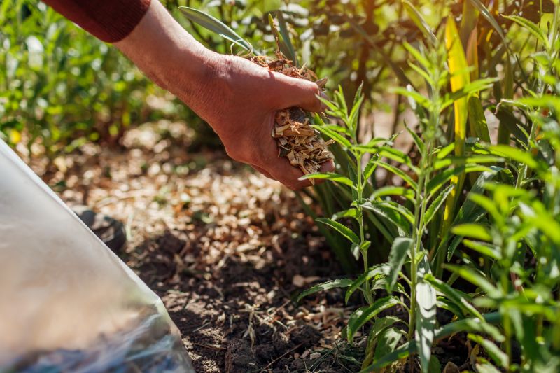 Wood Mulch Installation