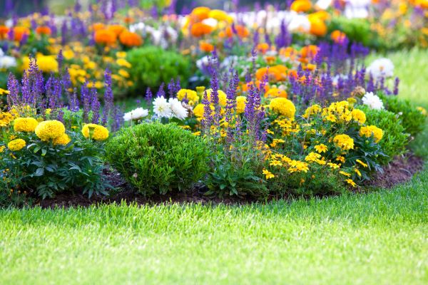 Flower Bed Maintenance in Billings
