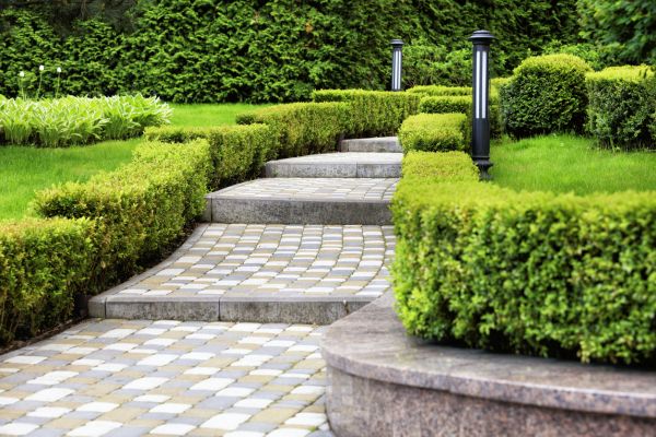 Backyard Remodeling in Billings