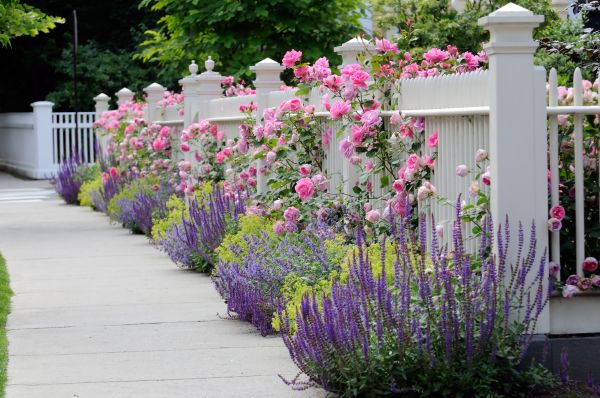 Garden Handyman Service in Billings