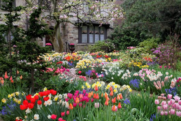 Garden Maintenance Service in Billings