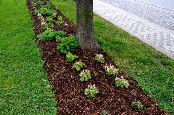 Mulch Replacement Service in Billings