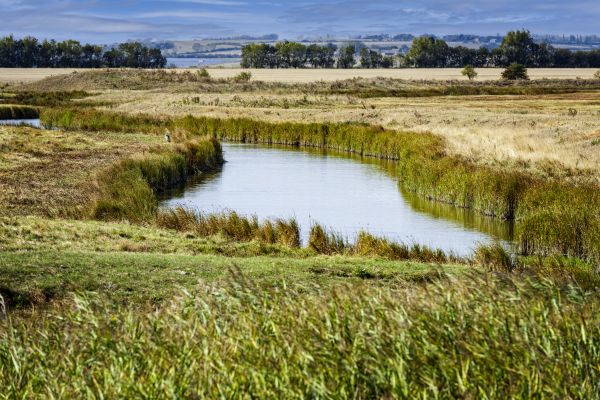 Swale Landscaping in Billings