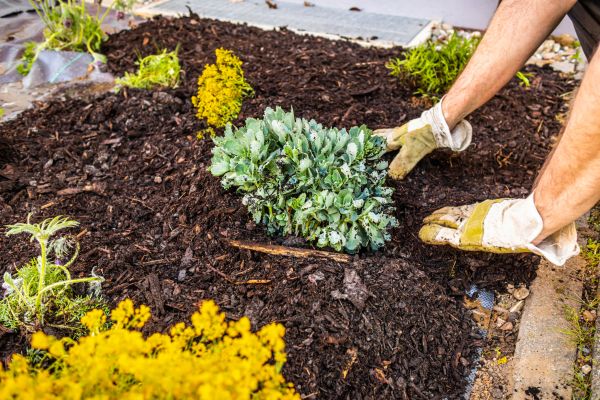 Weeding And Mulching in Billings