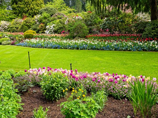 Residential Landscape Design in Billings