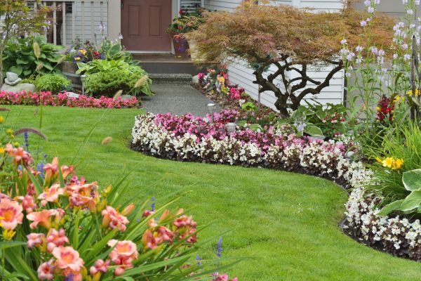 Perennial Landscaping in Billings