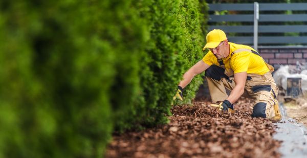 Cypress Mulch Installation in Billings