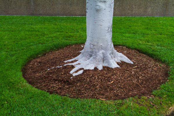 Brown Mulch Installation in Billings