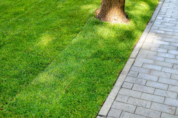 Border Stone Installation in Billings