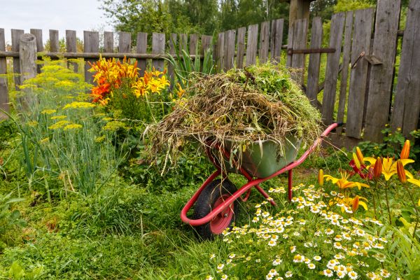 Garden Cleanup Service in Billings