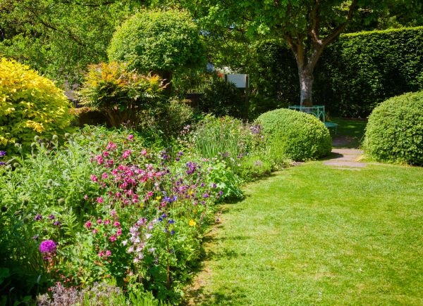 Yard Landscaping Service in Billings
