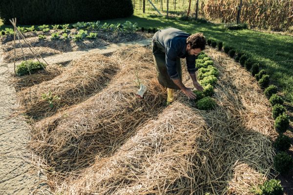 Straw Mulching Service in Billings