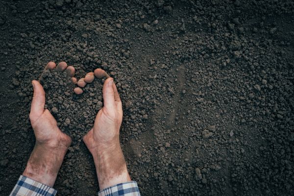 Soil Installation in Billings