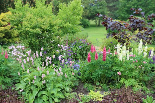 Flower Bed Planting in Billings