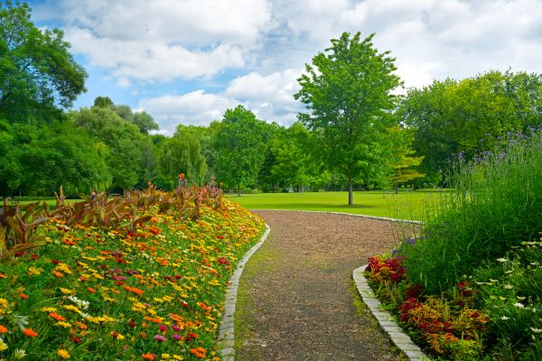 Park Landscaping in Billings