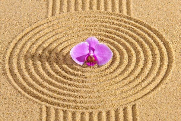 Sand Garden Landscaping in Billings