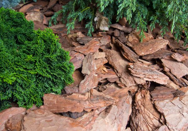 Pine Bark Installation in Billings