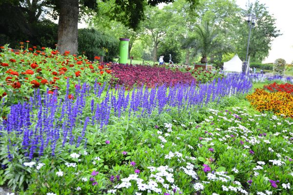 Perennials Planting in Billings