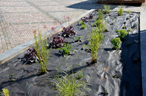 Landscape Fabric Installation in Billings