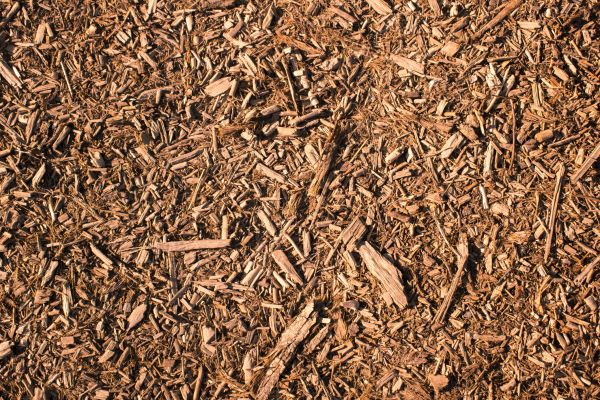 Wood Chips Removal in Billings