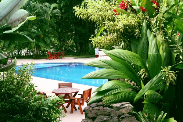 Pool Area Landscaping in Billings