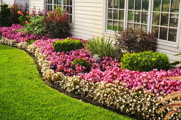House Landscaping in Billings