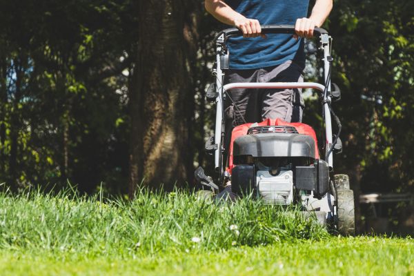 Garden Trimming Service in Billings