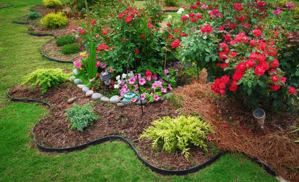 Floral Landscaping in Billings