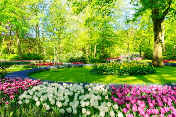 Flower Landscaping in Billings