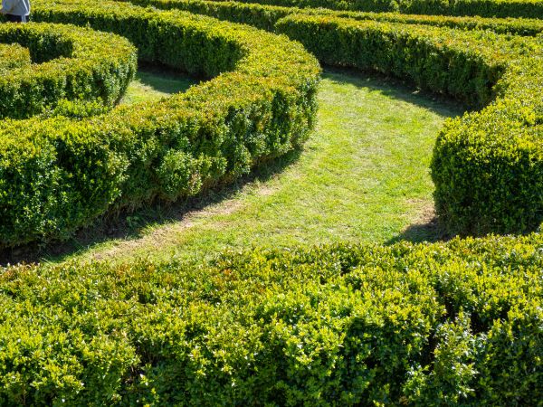 Bush Landscaping in Billings