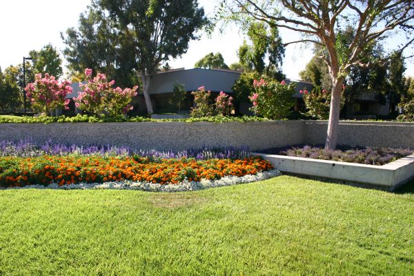 Commercial Landscape Service in Billings