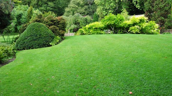 Commercial Landscape Design in Billings