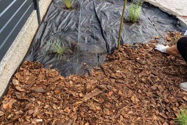Pine Bark Spreading in Billings