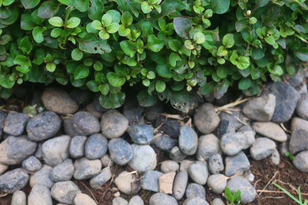 River Stone Installation in Billings