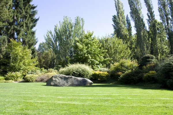 Yard Enlargement in Billings