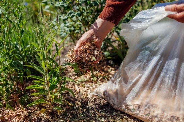 Wood Mulch Installation in Billings