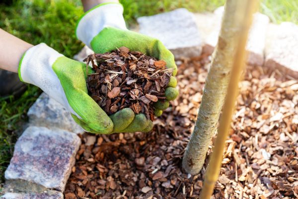 Tree Bark Delivery in Billings