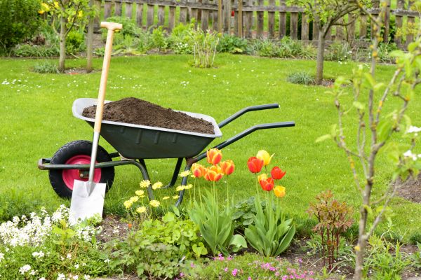 Spring Yard Renovation in Billings