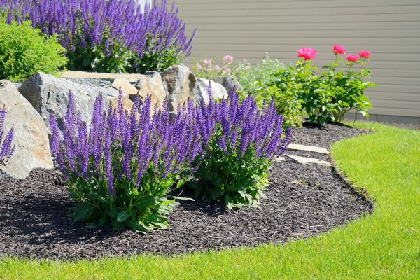 Landscape Planting Service in Billings