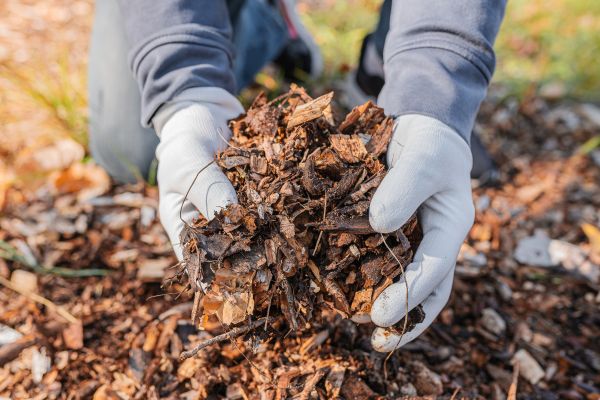Shredded Mulch Installation in Billings