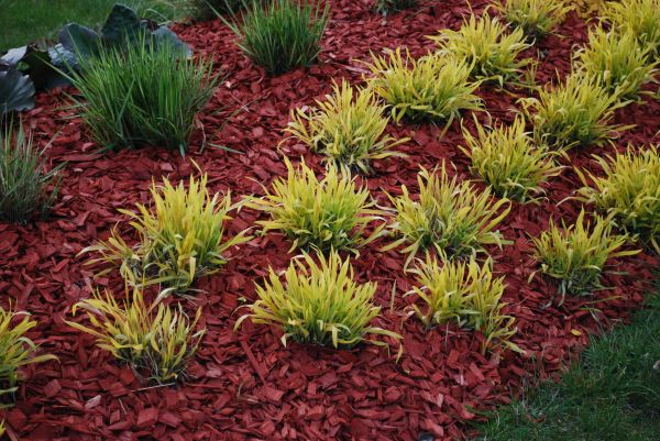 Red Mulch Installation in Billings