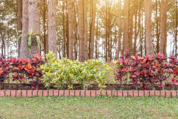 Small Garden Landscaping in Billings