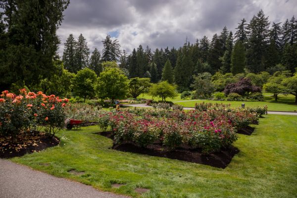 Flower Garden Landscaping in Billings