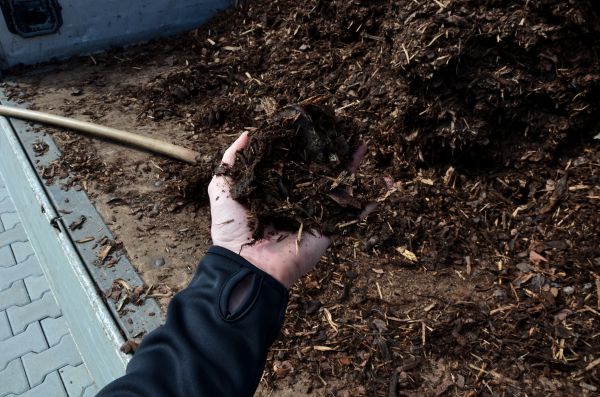 Condo Mulching in Billings